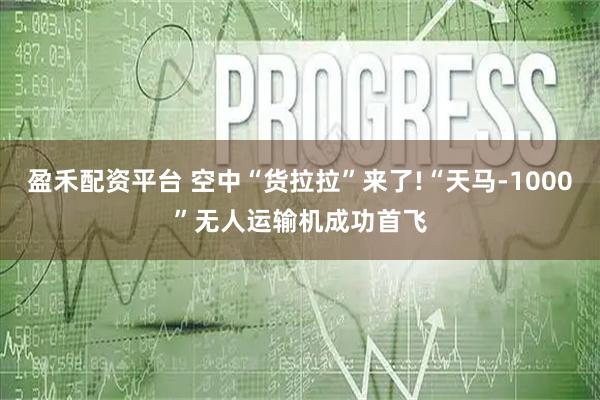 盈禾配资平台 空中“货拉拉”来了!“天马-1000”无人运输机成功首飞