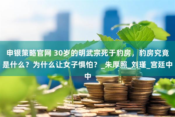 申银策略官网 30岁的明武宗死于豹房，豹房究竟是什么？为什么让女子惧怕？_朱厚照_刘瑾_宫廷中