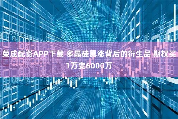 荣成配资APP下载 多晶硅暴涨背后的衍生品 期权买1万变6000万