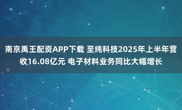 南京禹王配资APP下载 至纯科技2025年上半年营收16.08亿元 电子材料业务同比大幅增长